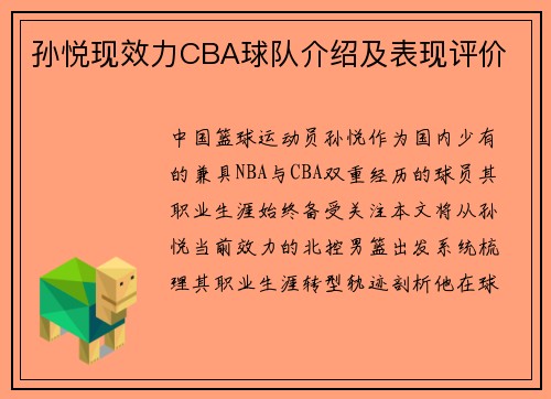 孙悦现效力CBA球队介绍及表现评价